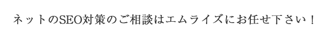 ネットのSEO対策のご相談は、有限会社アスカにお任せ下さい！